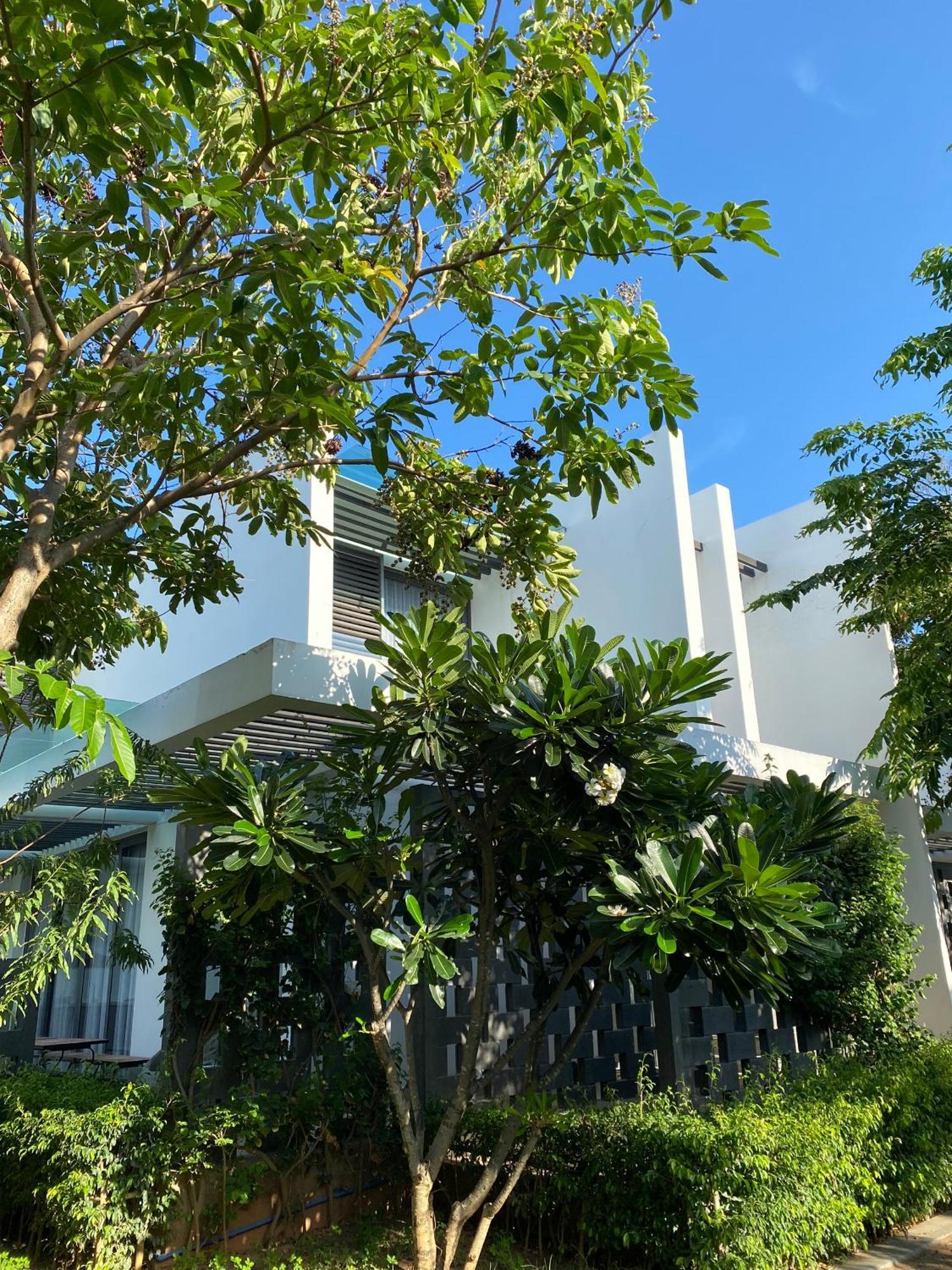 Khach San - Resort Oceanami - Long Hai Exterior foto